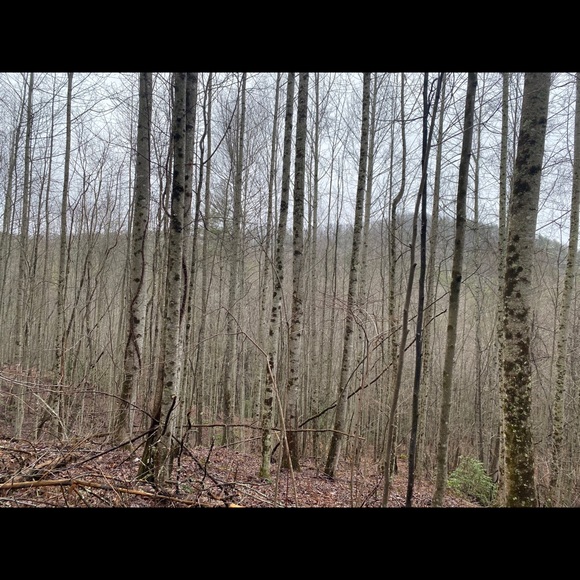 Meet your Posher, Whitney - Picture 1 of 1